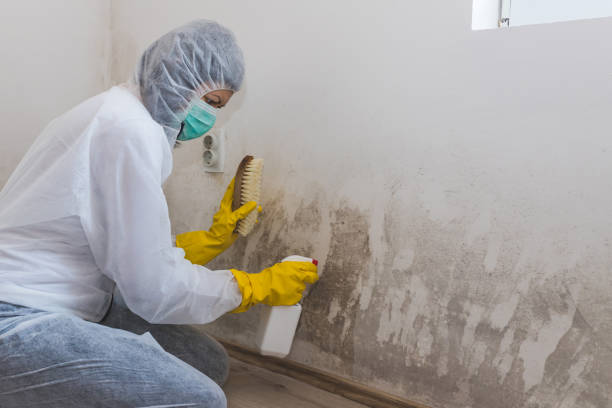 Best Mold Cleaning Services  in Pauls Valley, OK