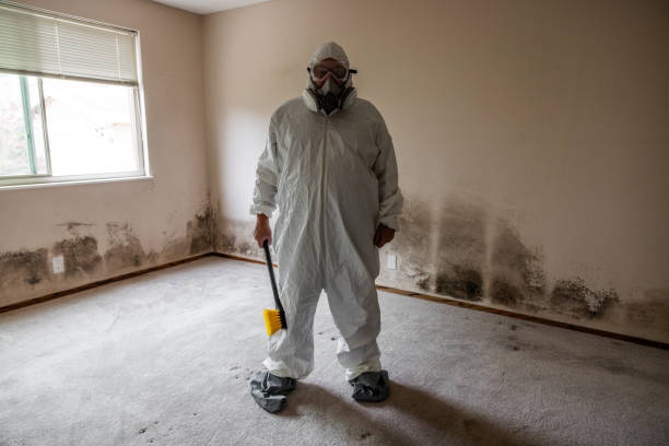 Best Commercial Mold Removal  in Pauls Valley, OK