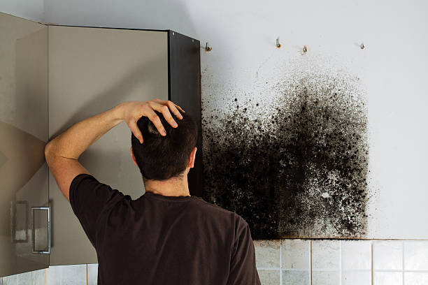 Certified Mold Removal in Pauls Valley, OK