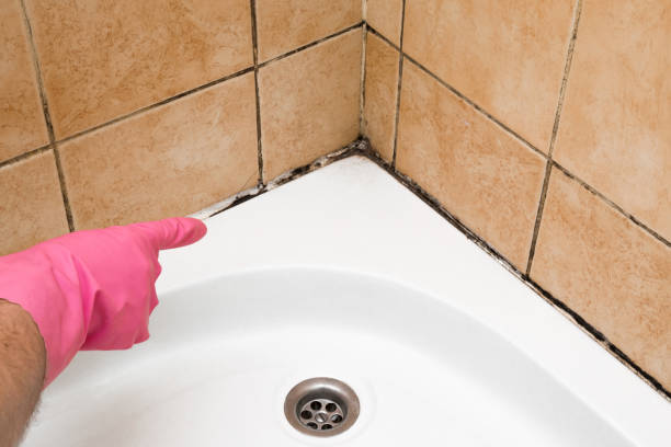 Best Crawl Space Mold Removal  in Pauls Valley, OK
